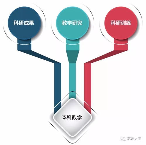 審核評(píng)估系列六 圖解 蘇大本科人才培養(yǎng)過(guò)程